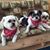 Judi Smith's profile image