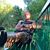 David Seitz's profile image