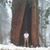 Mark Eaton's profile image