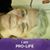 Christine Brown's profile image