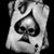 Don Gardner's profile image