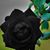 MrsChocolate Hicks's profile image
