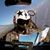 David Lucas's profile image