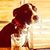 Ryen Eggleston's profile image
