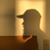 Doug Barrett's profile image