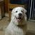 Cindy Smith's profile image