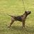 Teri Beverly's profile image