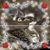 Joann Tricoli's profile image