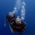 Karen Ahearn Bowman's profile image
