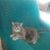 Steve Betzing's profile image
