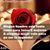 La Chita's profile image