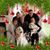 Christie Poucher Bullington's profile image