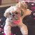 Brenda Brown Dykes's profile image