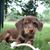 Barb Charleston Cobb's profile image