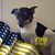 Lori Herbst's profile image