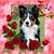 Jan K. Mayr's profile image