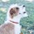 Jenna Holst Opperman's profile image