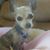 KB Anspach-Brooks's profile image