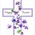 Teresa Shively's profile image