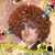 Gunnar Fischer's profile image