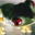 Jk Vega's profile image