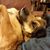Terri Martin's profile image