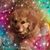 Bobbie Biggs's profile image