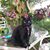 Erica Dobbins's profile image