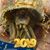 Sarah Allard's profile image