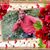Jameel Ukkali's profile image