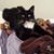 Patricia L. McFadden Jacquet's profile image