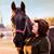 Christy Raper's profile image