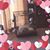 Lynne M.'s profile image