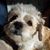 Connie Fuller's profile image