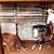 Joyce Mclauchlin's profile image