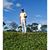 Douglas Eduardo's profile image