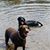Donna Marie Gibbons's profile image