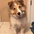 Charon Howell's profile image
