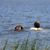 Liz Rathfon's profile image