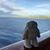 Sara Shute's profile image