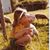 Peggy Teyssier's profile image