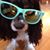 Ann Thomson's profile image