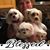 Nancy Overson's profile image