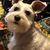 Apasara Langley's profile image