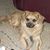 Jeanne Clausner's profile image