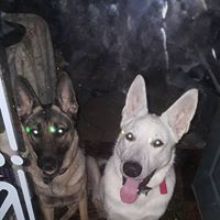 Mandy Puterbaugh's profile image