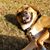 LeAnna Cutler's profile image
