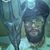 Kristopher Jeffrey's profile image