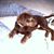 Sandy Parker's profile image