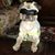 Sharon Blair Doxakis's profile image